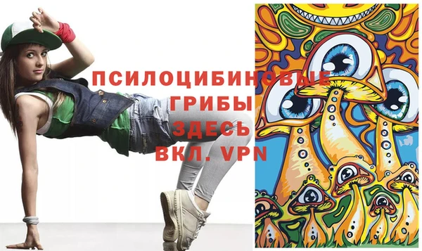 соль курить ск Алексин