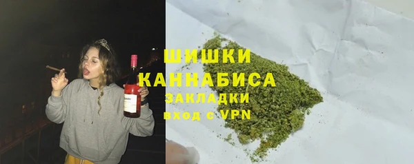 ГАЛЛЮЦИНОГЕННЫЕ ГРИБЫ Алзамай