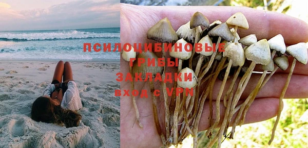эйфоретик Михайловск