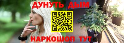 шишки Гатчина
