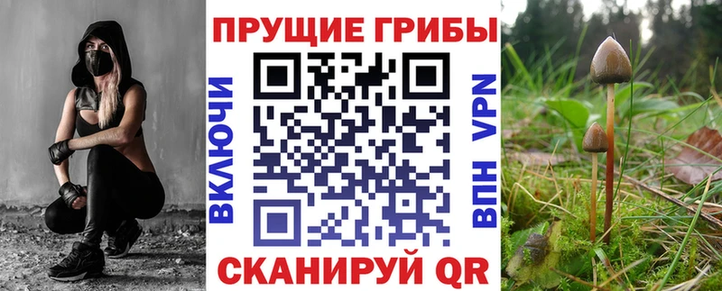 Псилоцибиновые грибы Magic Shrooms  наркота  Нефтекамск 