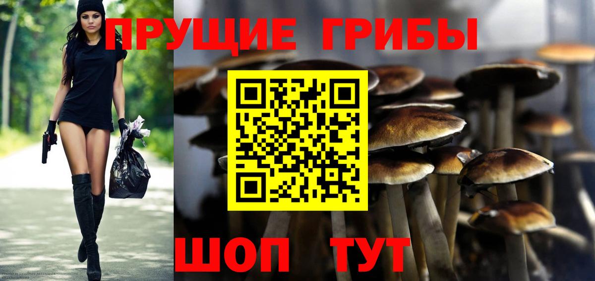 Нефтекамск  закладка  Вход с VPN  Галлюциногенные грибы Psilocybe 